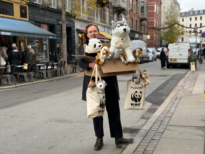 WWF åbner i december en pop-up butik fuld af de så ikoniske dyrebamser på Værnedamsvej i København.