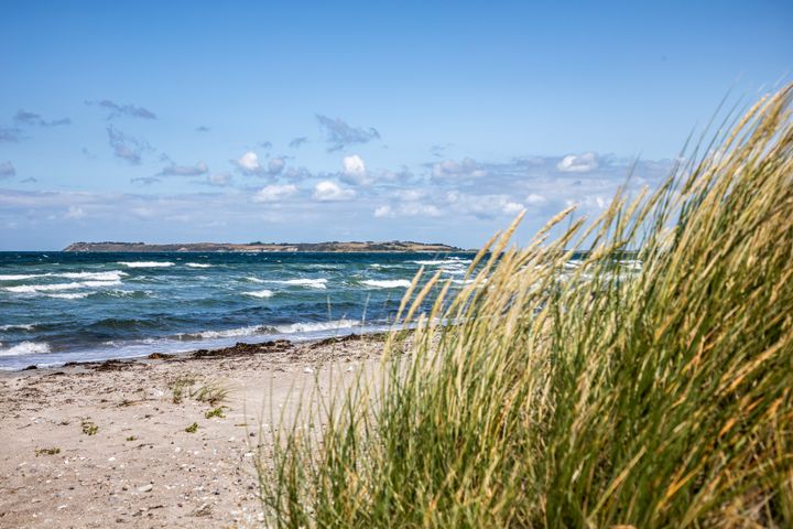 Fang fisk og hjælp forskerne til at blive klogere på livet i Sejerøbugten