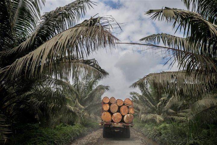 Danmark placerer sig endnu engang toppen over lande med størst aftryk på planeten