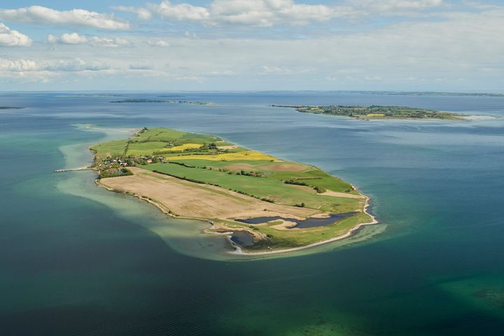 Det Sydfynske Øhav danner ramme om Danmarks største marine naturgenopretningsprojekt