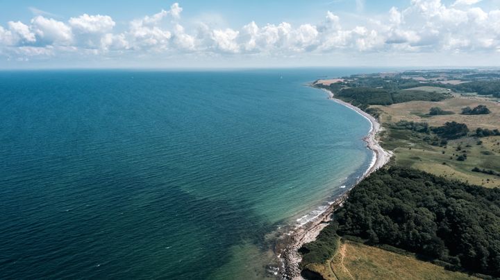 Sejerø Bugt er ét af flere områder, som WWF har peget på som en oplagt marin naturnationalpark.