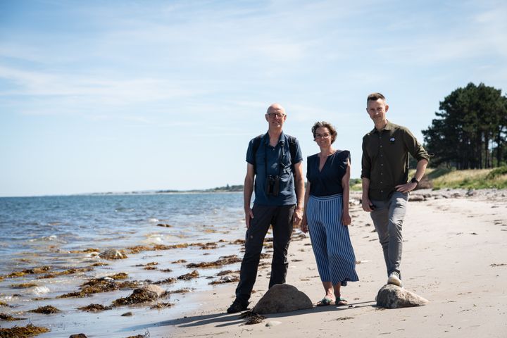 Lars Rudfeldt, Camilla Zacho og Mikkel Aarø-Hansen samarbejder om projektet 'Flere stenrev i Sejerø Bugt'