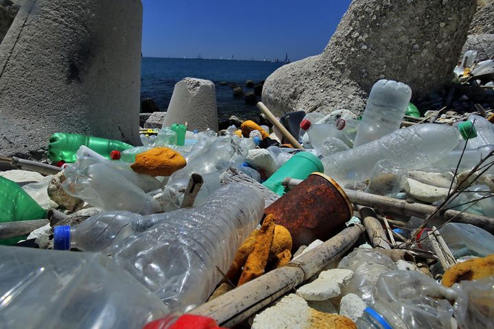 © Milos Bicanski / WWF-UK