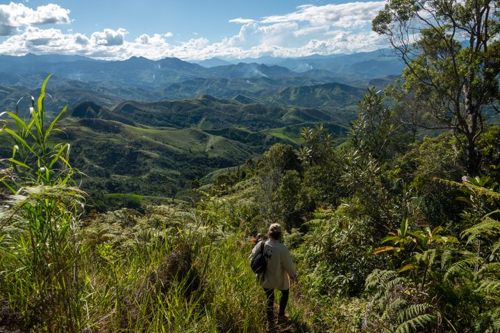 Det fjerde og sidste skovprojekt i partnerskabet mellem WWF Verdensnaturfonden og VELUX Gruppen er nu under implementering i Madagaskar.