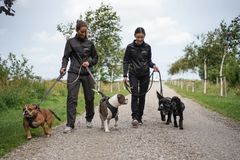 Vær med den 12. august, når Nordjyllands Internat går tur for at støtte de svigtede hunde. Arrangementet er lavet i samarbejde med COOLSHOP.