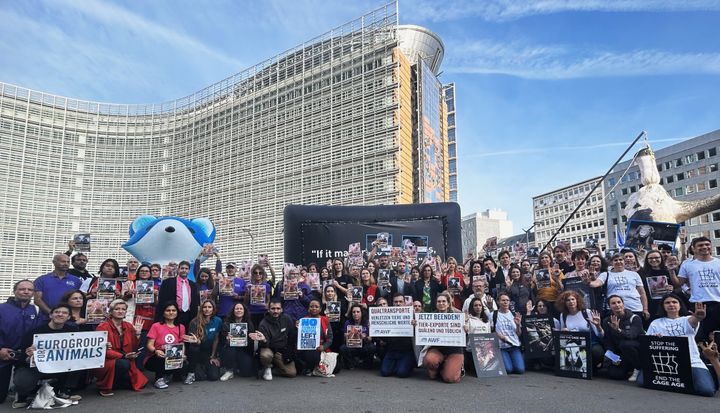 Dagens demonstration i Bruxelles var organiseret af den europæiske sammenslutning af dyrevelfærdsorganisationer, Eurogroup for Animals, som består af 96 medlemsorganisationer, herunder Dyrenes Beskyttelse.