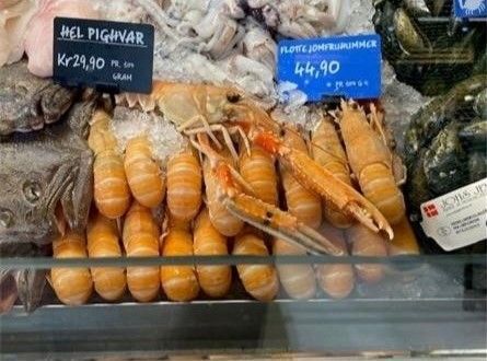 Jomfruhummere i køledisk
