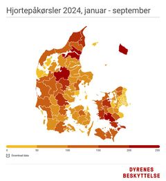 Embedkode: <div class="infogram-embed" data-id="1f8d91e7-e97c-44ae-8e6d-9286d8f1f7c5" data-type="interactive" data-title="Hjortepåkørsler 2024"></div><script>!function(e,n,i,s){var d="InfogramEmbeds";var o=e.getElementsByTagName(n)[0];if(window[d]&&window[d].initialized)window[d].process&&window[d].process();else if(!e.getElementById(i)){var r=e.createElement(n);r.async=1,r.id=i,r.src=s,o.parentNode.insertBefore(r,o)}}(document,"script","infogram-async","https://e.infogram.com/js/dist/embed-loader-min.js");</script>