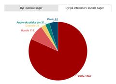 Flest katte og hunde kommer i klemme, når livet gør ondt på deres ejere. Her ses en graf, med fordelingen af dyr fra sociale sager i 2023, der er kommet på dyreinternat.