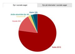 Flest katte og hunde kommer i klemme, når livet gør ondt på deres ejere. Her ses en graf med fordelingen af dyrearter fra sociale sager i 2023.