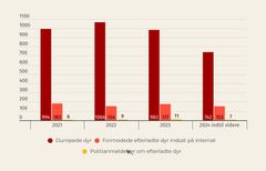 Dyrenes Beskyttelse politianmeldte 11 dyreejere i 2023 i forbindelse med, at de flyttede fra deres bolig uden at tage deres dyr med sig. I år er der ind til videre anmeldt syv dyreejere. Her ses antallet af dumpede dyr, fraflyttede dyr som er kommet på dyreinternat og antallet af politianmeldte sager. Her ses en graf over udviklingen fra 2021-2024.