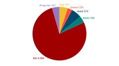 Her ses antallet af formidlede dyr i 2024, fordelt på arter.