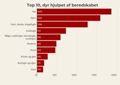 Embedkode: <div class="infogram-embed" data-id="fc1d8cad-9203-4290-8cd8-c5166942cbaa" data-type="interactive" data-title="Copy: Beredskabssager fordelt på dyr"></div><script>!function(e,n,i,s){var d="InfogramEmbeds";var o=e.getElementsByTagName(n)[0];if(window[d]&&window[d].initialized)window[d].process&&window[d].process();else if(!e.getElementById(i)){var r=e.createElement(n);r.async=1,r.id=i,r.src=s,o.parentNode.insertBefore(r,o)}}(document,"script","infogram-async","https://e.infogram.com/js/dist/embed-loader-min.js");</script>
