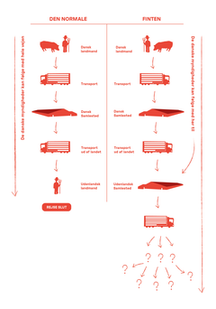 Her ses forskellen på en normal grisetransport og en grisetransport med et samlested som bestemmelsessted. En stor del af turen med et samlested som bestemmelsessted har de danske myndigheder ikke mulighed for at føre kontrol med. Grafikken er til fri redaktionel brug.