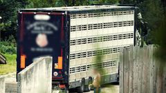 De 500 grise blev læsset tilbage ombord på lastbilen og stod i en time i lovstridigt høje temperaturer i den bagende eftermiddagssol, inden chaufførerne satte sig tilbage i førerhuset og kørte videre.