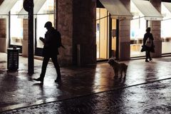 Uden lys forsvinder hunden hurtigt i trafikkens mørke randzoner. Her er den meget svær for bilisterne at få øje på.