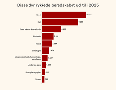 <div class="infogram-embed" data-id="cd047fce-d9d1-470a-a791-a2a4062371f2" data-type="interactive" data-title="Copy: Copy: Dyr indleveret på internat 2023"></div><script>!function(e,n,i,s){var d="InfogramEmbeds";var o=e.getElementsByTagName(n)[0];if(window[d]&&window[d].initialized)window[d].process&&window[d].process();else if(!e.getElementById(i)){var r=e.createElement(n);r.async=1,r.id=i,r.src=s,o.parentNode.insertBefore(r,o)}}(document,"script","infogram-async","https://e.infogram.com/js/dist/embed-loader-min.js");</script>