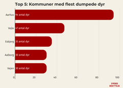 Embedkode: <div class="infogram-embed" data-id="a688acc1-c07e-46a5-8c24-4cbdb5fdcfba" data-type="interactive" data-title="Dumpede dyr. Top 5 kommuner"></div><script>!function(e,n,i,s){var d="InfogramEmbeds";var o=e.getElementsByTagName(n)[0];if(window[d]&&window[d].initialized)window[d].process&&window[d].process();else if(!e.getElementById(i)){var r=e.createElement(n);r.async=1,r.id=i,r.src=s,o.parentNode.insertBefore(r,o)}}(document,"script","infogram-async","https://e.infogram.com/js/dist/embed-loader-min.js");</script>