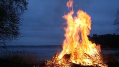 Et sankthansbål kan ligne en uskyldig bunke grene og kvas. Men når bålet får lov at stå, kan det også blive et skjulested for dyr, der risikerer at brænde ihjel på Sankthansaften.