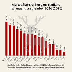 <div class="infogram-embed" data-id="b594a48f-e473-4f96-b53c-cf277df4714d" data-type="interactive" data-title="Hjortepåkørsler region Sjælland (kommuner) 2026"></div><script>!function(e,n,i,s){var d="InfogramEmbeds";var o=e.getElementsByTagName(n)[0];if(window[d]&&window[d].initialized)window[d].process&&window[d].process();else if(!e.getElementById(i)){var r=e.createElement(n);r.async=1,r.id=i,r.src=s,o.parentNode.insertBefore(r,o)}}(document,"script","infogram-async","https://e.infogram.com/js/dist/embed-loader-min.js");</script>