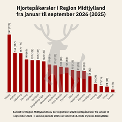 <div class="infogram-embed" data-id="ab8fd925-8fd0-4b7d-b2e9-46956b4078e1" data-type="interactive" data-title="Hjortepåkørsler region Midtjylland (kommuner) 2026"></div><script>!function(e,n,i,s){var d="InfogramEmbeds";var o=e.getElementsByTagName(n)[0];if(window[d]&&window[d].initialized)window[d].process&&window[d].process();else if(!e.getElementById(i)){var r=e.createElement(n);r.async=1,r.id=i,r.src=s,o.parentNode.insertBefore(r,o)}}(document,"script","infogram-async","https://e.infogram.com/js/dist/embed-loader-min.js");</script>