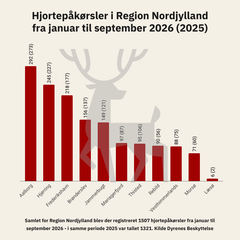 <div class="infogram-embed" data-id="61cc9cdb-a181-404b-8ed3-d7aa4980eed7" data-type="interactive" data-title="Hjortepåkørsler region Nordjylland (kommuner) 2026"></div><script>!function(e,n,i,s){var d="InfogramEmbeds";var o=e.getElementsByTagName(n)[0];if(window[d]&&window[d].initialized)window[d].process&&window[d].process();else if(!e.getElementById(i)){var r=e.createElement(n);r.async=1,r.id=i,r.src=s,o.parentNode.insertBefore(r,o)}}(document,"script","infogram-async","https://e.infogram.com/js/dist/embed-loader-min.js");</script>