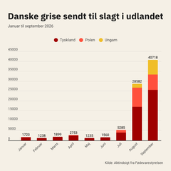 <div class="infogram-embed" data-id="_/vX1kfzciN7xtKxXBUJHC" data-type="interactive" data-title="Grise til slagt i udlandet 2026"></div><script>!function(e,n,i,s){var d="InfogramEmbeds";var o=e.getElementsByTagName(n)[0];if(window[d]&&window[d].initialized)window[d].process&&window[d].process();else if(!e.getElementById(i)){var r=e.createElement(n);r.async=1,r.id=i,r.src=s,o.parentNode.insertBefore(r,o)}}(document,"script","infogram-async","https://e.infogram.com/js/dist/embed-loader-min.js");</script>