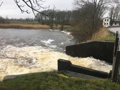 Med den nye faunapassage får fiskene fri passage mod gyde- og levesteder.