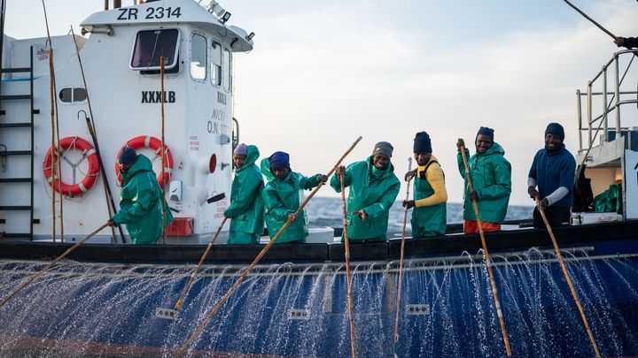 Det sydafrikanske stangfiskeri efter albacore tun opnåede MSC-certificering i august 2024 efter deltagelse i MSC's Improvement Program.