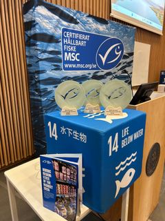 MSC Nordic Golden Fish Awards 2026 - priser