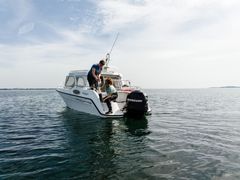 Marinbiolog og forskningsleder Carolin Löschers studerende henter vandprøver i Det Sydfynske Øhav til arbejdet med at teste om knust sten kan fjerne CO2 fra atmosfæren.