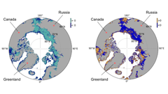 Venstre kort: Lyseblå (>0): Mere grumset vand. Mørkeblå: Mindre grumset vand. Højre kort: Mørkeblå (>0):Mindre primær produktion på havbunden. Gul: Mere primær produktion på havbunden.