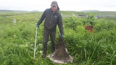 Den russiske hvalforsker Sergey Fomin med en afrevet finne fra en spækhugger, fundet på Bering Ø den 31. juli 2024. Den måler 71 cm i højden og stammer formentlig fra en voksen hun eller ung han. Den blev ca. 2 km fra den, der blev fundet i 2022.