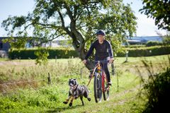 Cykelture på hverdagscykel er den fjerdestørste ugentlige aktivitet for voksne – efter gåture, styrketræning og konditionstræning. Men der bliver længere mellem cyklisterne: Her er et fald fra 29,9 pct. til 23,3 pct. af de voksne i perioden 2020-2025.