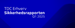 Q1 Sikkerhedsrapport