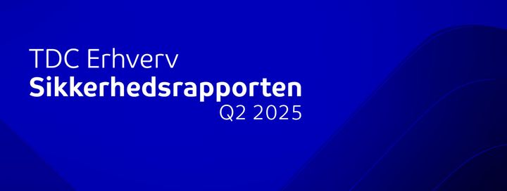 Q2 Sikkerhedsrapport