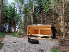 Nyt shelter i Himmelev Skov ved Roskilde
