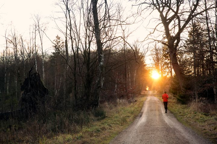 Gang og løb har overhalet bilen som den mest brugte måde at komme ud i naturen.