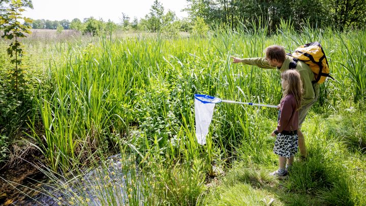 Jagt efter arter til Bioblitz i Naturnationalpark Fussingø