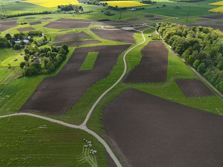Dronefoto fra Højballe Skov den 21. maj 2026. Foto: Naturstyrelsen.