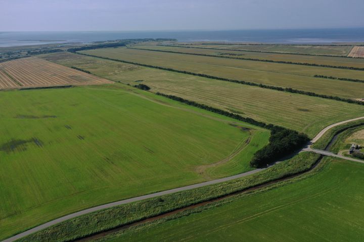 Området under navnet Pumpestation Nord skal blive til klima-lavbundsområde til gavn for blandt andet Ringkøbing Fjord.