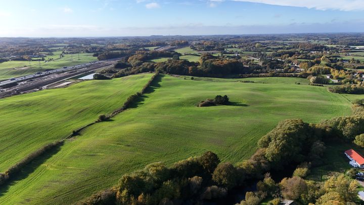 Elmelund Skov vil i fremtiden også brede sig over disse marker. Foto: Odense Kommune