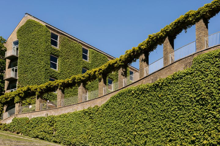 Billede af Aarhus Universitet set fra Universitetsparken