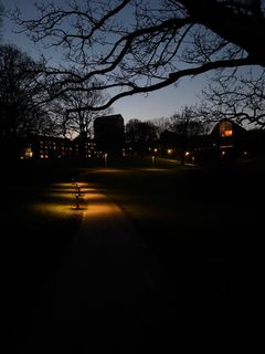 Stierne i Universitetsparken og Vennelystparken bliver også belyst som del af projektet, så det bliver lettere og tryggere at færdes i områderne efter mørkets frembrud. Lysforsøg, foråret 2026.