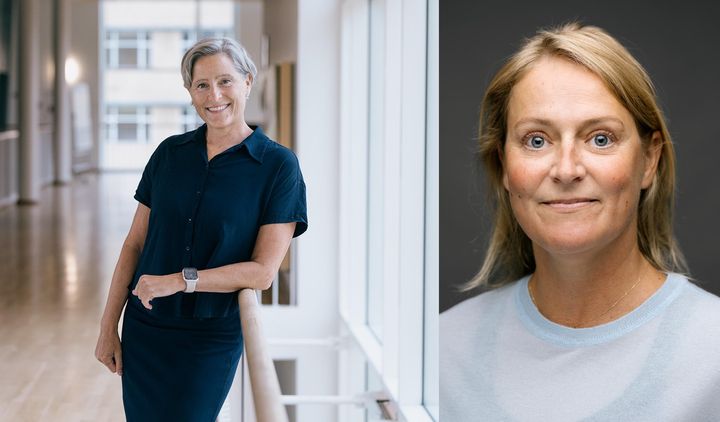 Professor Cecilia Ramlau-Hansen (tv.) og postdoc Anne Gaml-Sørensen.