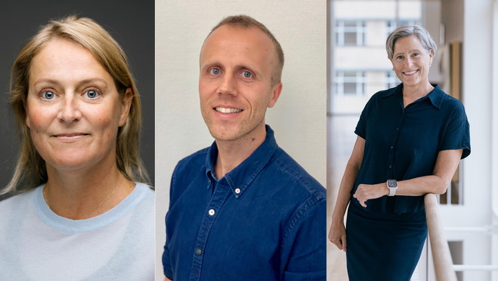 Postdoc Anne Gaml-Sørensen, lektor Nis Brix og professor Cecilia Høst Ramlau-Hansen fra Institut for Folkesundhed på Aarhus Universitet.