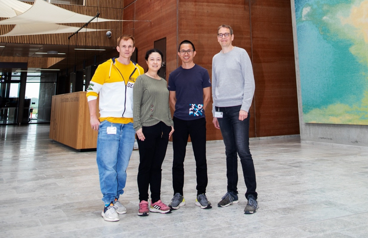 Forskergruppen bag studiet, der netop er publiceret i Nature Communications: Fra venstre lektor Jean Frarup, lektor Lin Lin, professor Yonglun Luo og professor Niels Jessen.