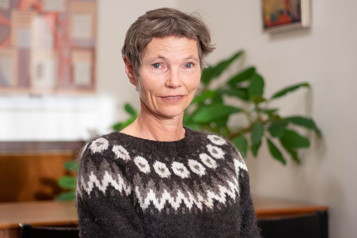 Professor Vivi Schlünssen fra Institut for Folkesundhed på Aarhus Universitet