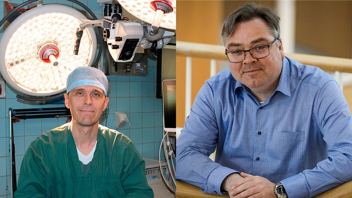 Tidligere har forskere ment, at immunsystemet primært nedbrød eller på anden vis ødelagde implantatmateriale. Det nye studie viser, at tilstedeværelsen af immunceller tværtimod kan styrke implantaterne. Det fortæller klinisk lektor Halldór Einarsson (th) og professor Thomas Vorup-Jensen. Fotos: Jenni Jensen/AaUH og Simon Fischel/AU