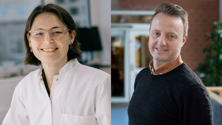 Bevillingsmodtagere fra Health modtager tilsammen knap 4,6 mio. kr. i støtte fra Lundbeckfonden til nye forskningsprojekter.